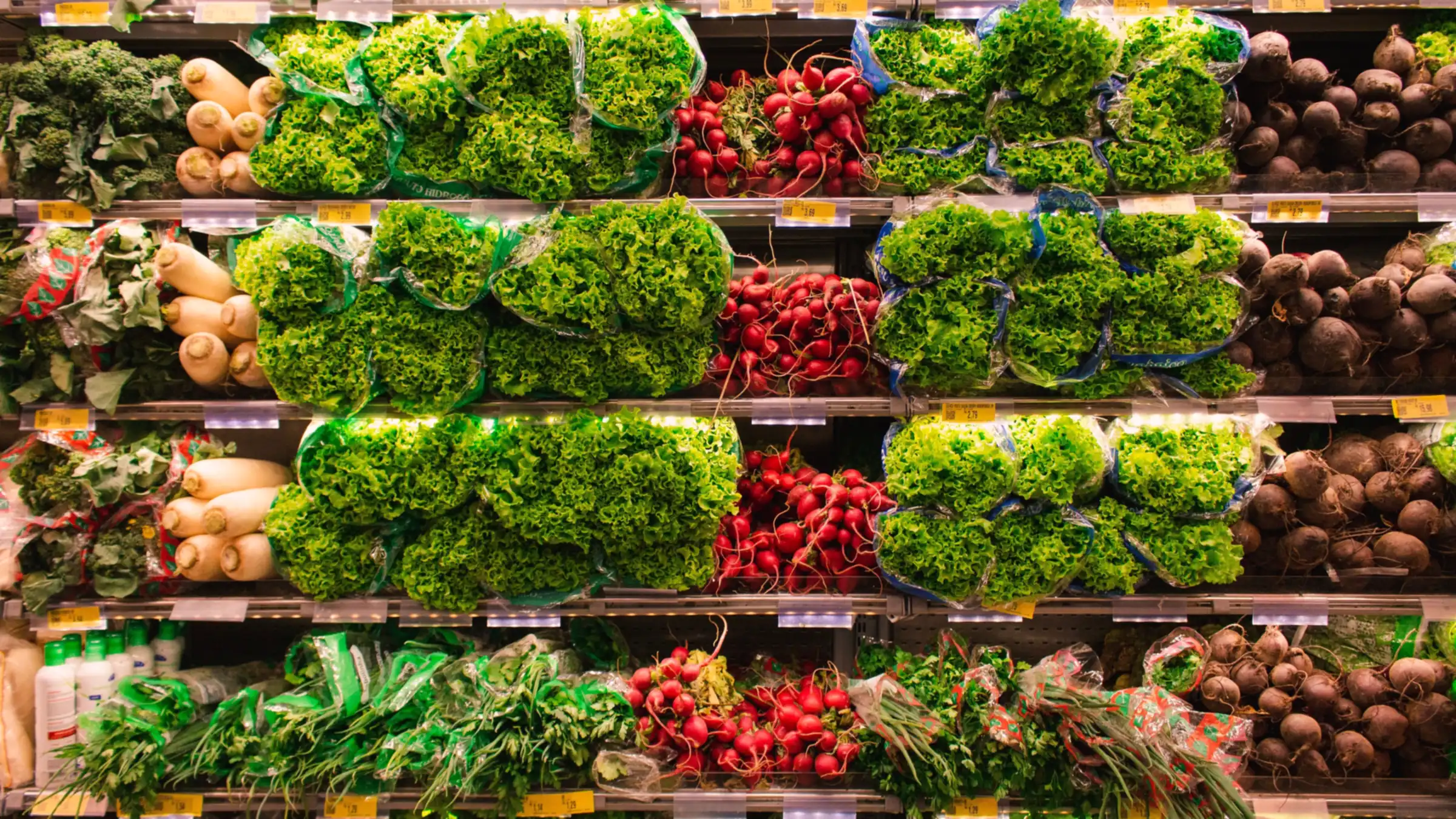 Rayon frais de supermarché, salades, radis et légumes racines sur les étagères